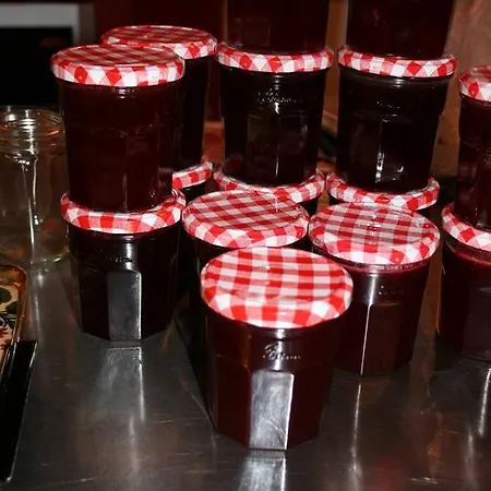 Chambres D'hotes Le Domaine De Stanislas 5* Lunéville