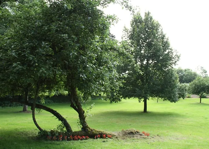 Bed & Breakfast Chambres D'hotes Le Domaine De Stanislas 5*