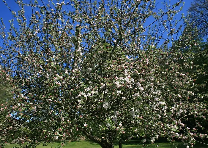 Chambres D'hotes Le Domaine De Stanislas 5*