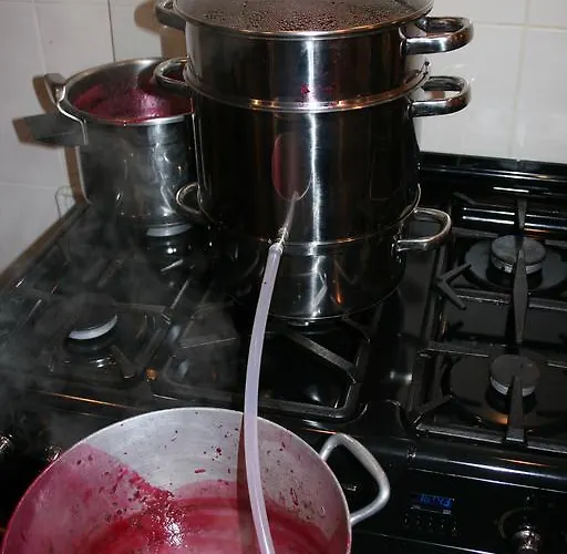 Chambres D'hotes Le Domaine De Stanislas Bed & Breakfast 5*