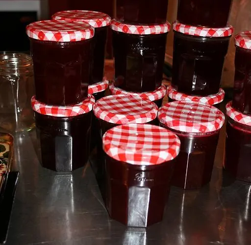 Chambres D'hotes Le Domaine De Stanislas 5* Lunéville