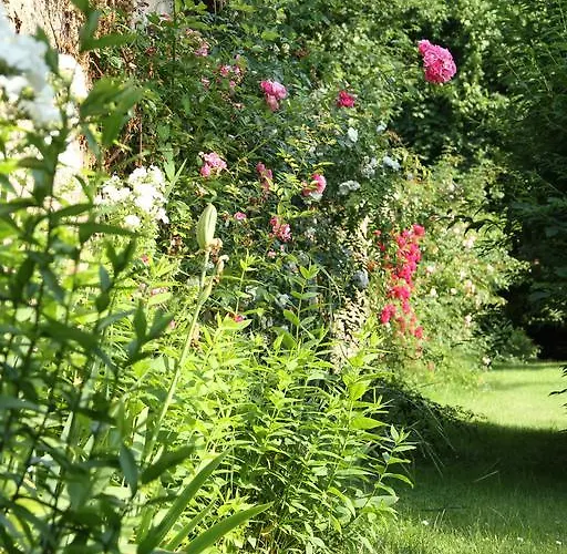 Chambres D'hotes Le Domaine De Stanislas Bed & Breakfast Lunéville